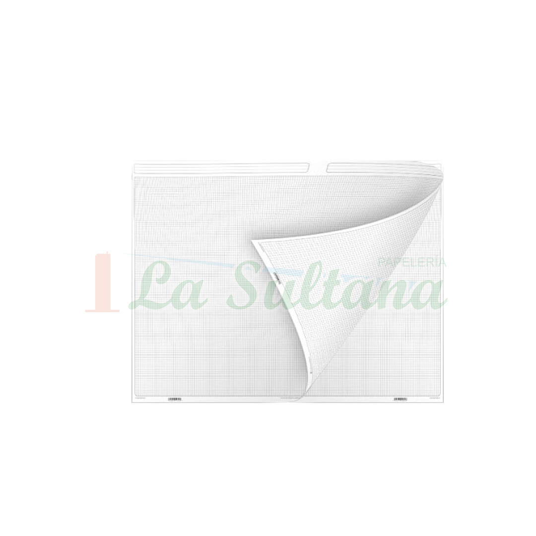 PAPEL ROTAFOLIO C/25