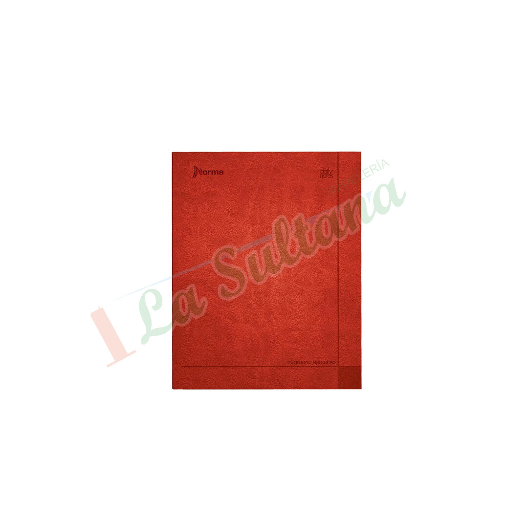 CUADERNO EJECUTIVO DAILY NOTES C/100H PZ