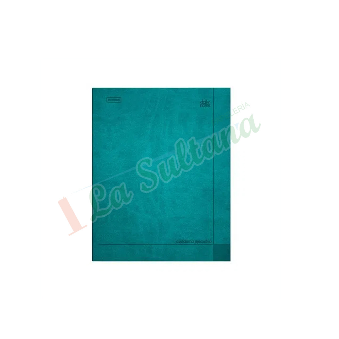 CUADERNO EJECUTIVO DAILY NOTES GDE C/100H PZ