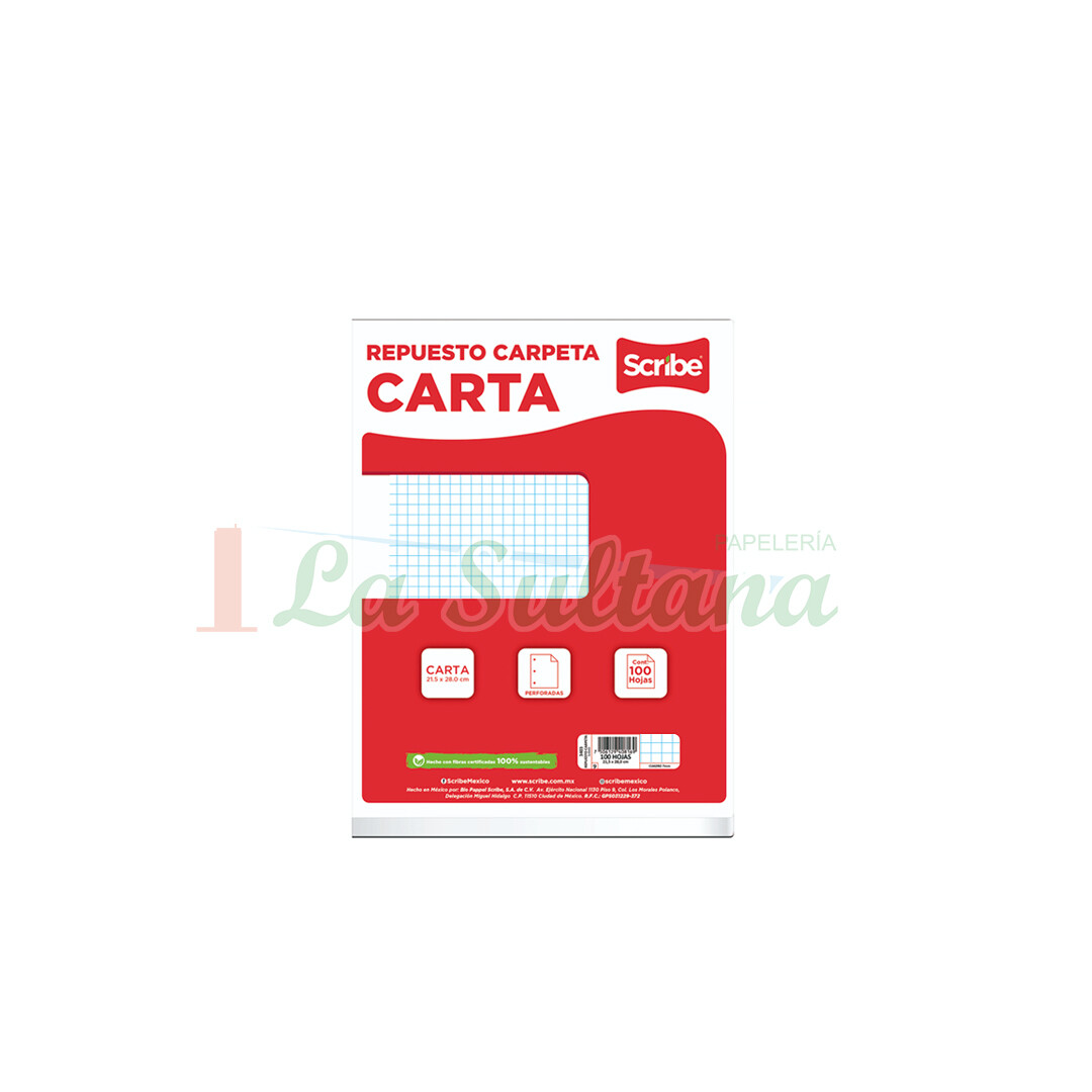 HOJAS P/CARPETA SCRIBE C-5 C/100H PZ