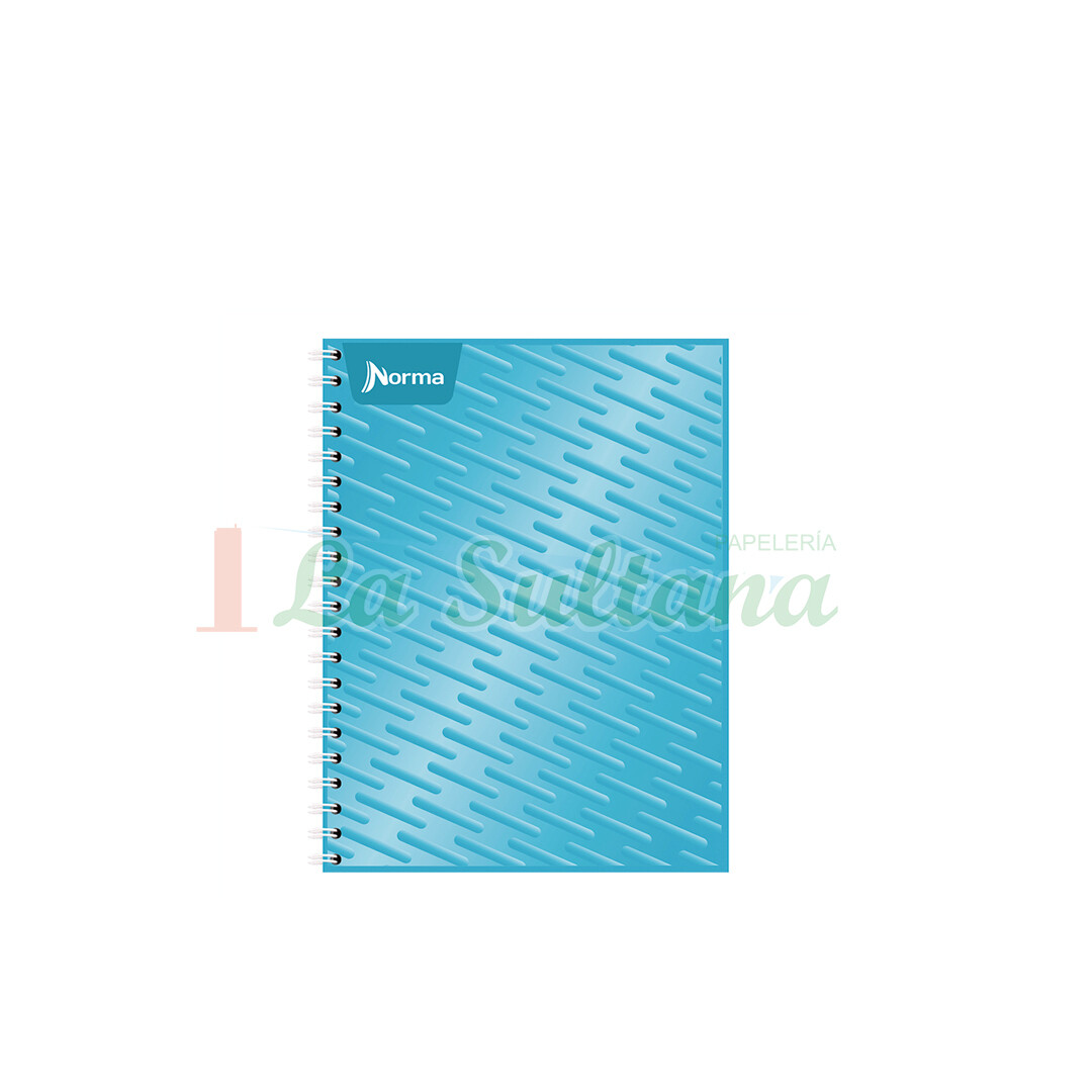 LIBRETA NORMA PROFESIONAL ESPIRAL C/100H