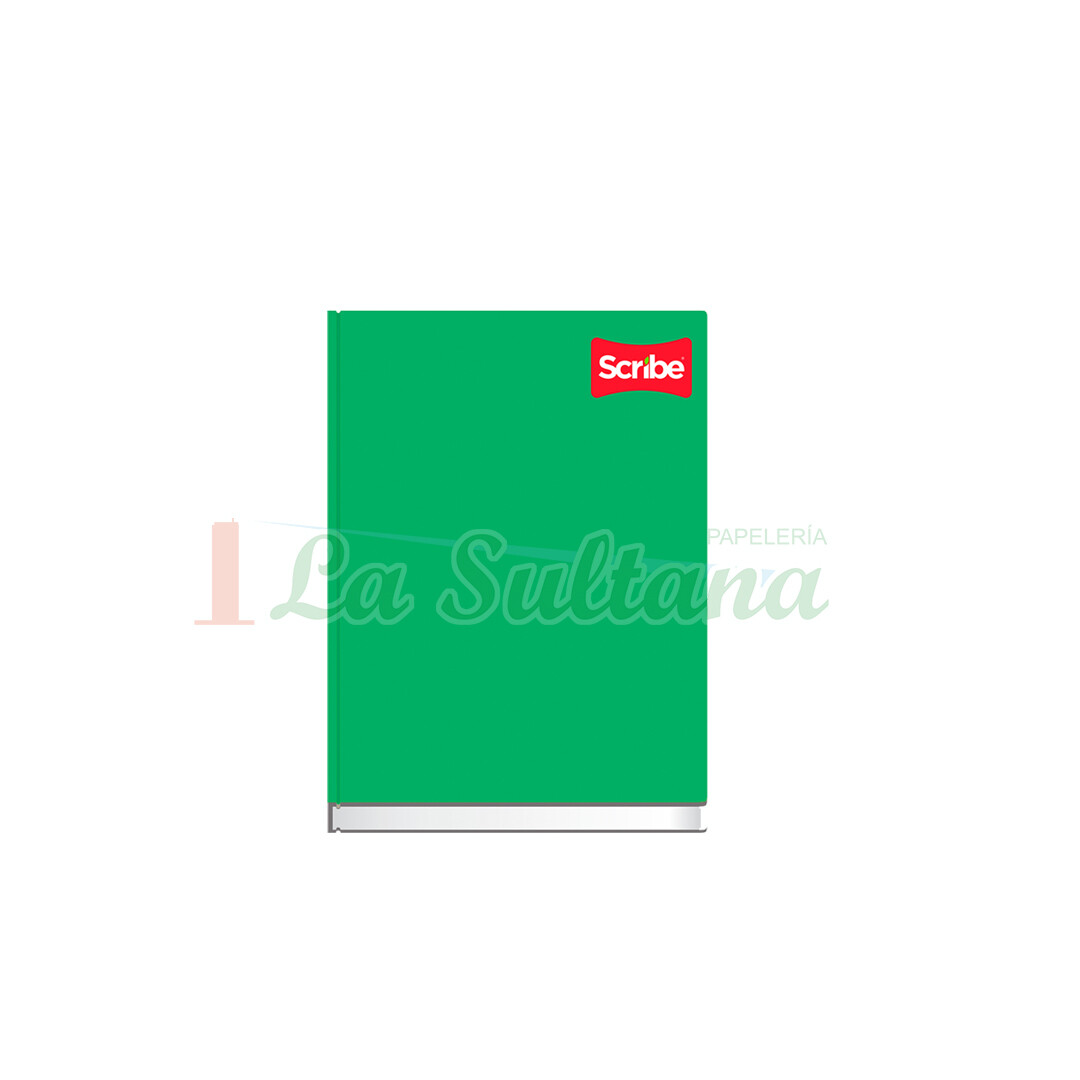 DIARIO SCRIBE FRANCES C/96H PZ