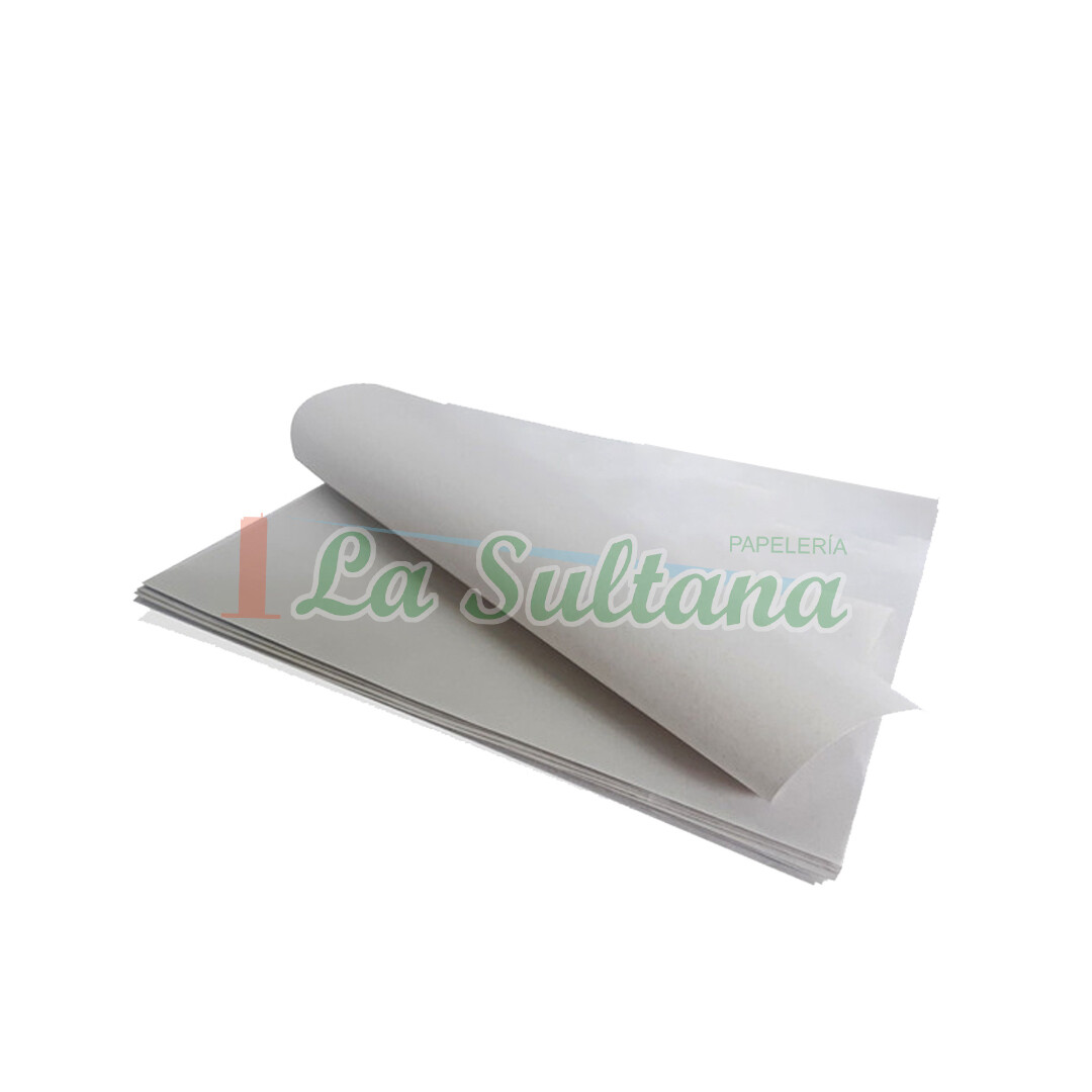 PAPEL REVOLUCION PLIEGO C/25