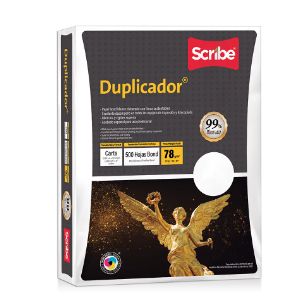 HOJA DUPLICADOR BLANCO CARTA C/500H PZ