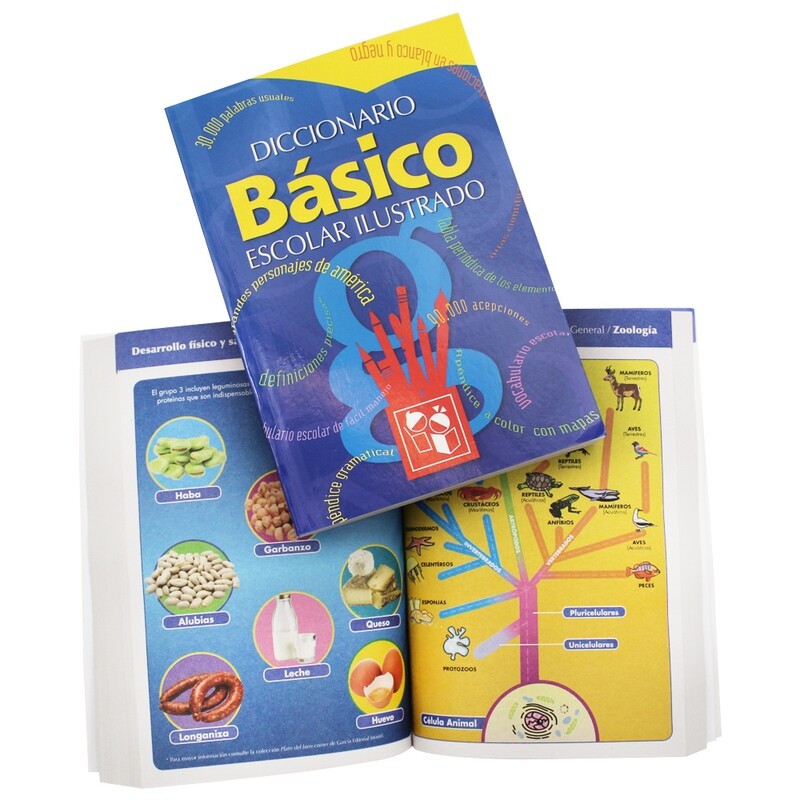 DICCIONARIO BASICO ESCOLAR ED. GARCÍA PZ