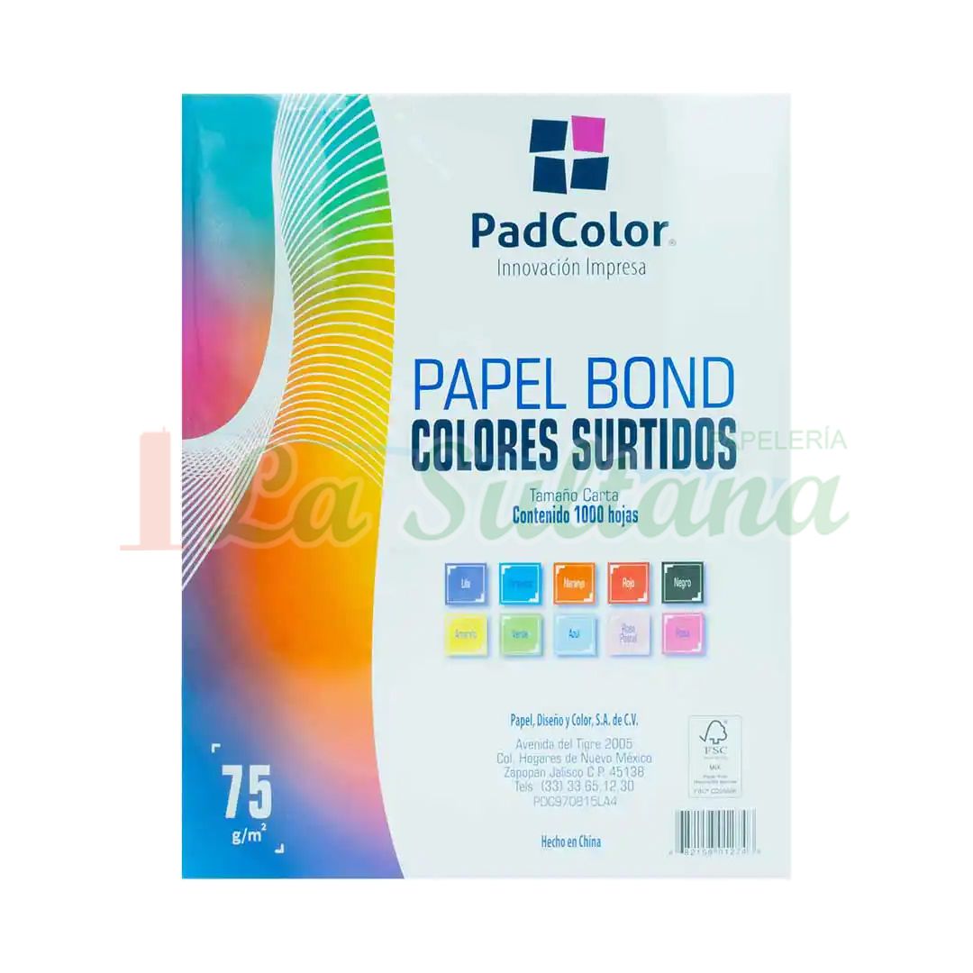 HOJA COLOR PADI SURTIDO C/100H