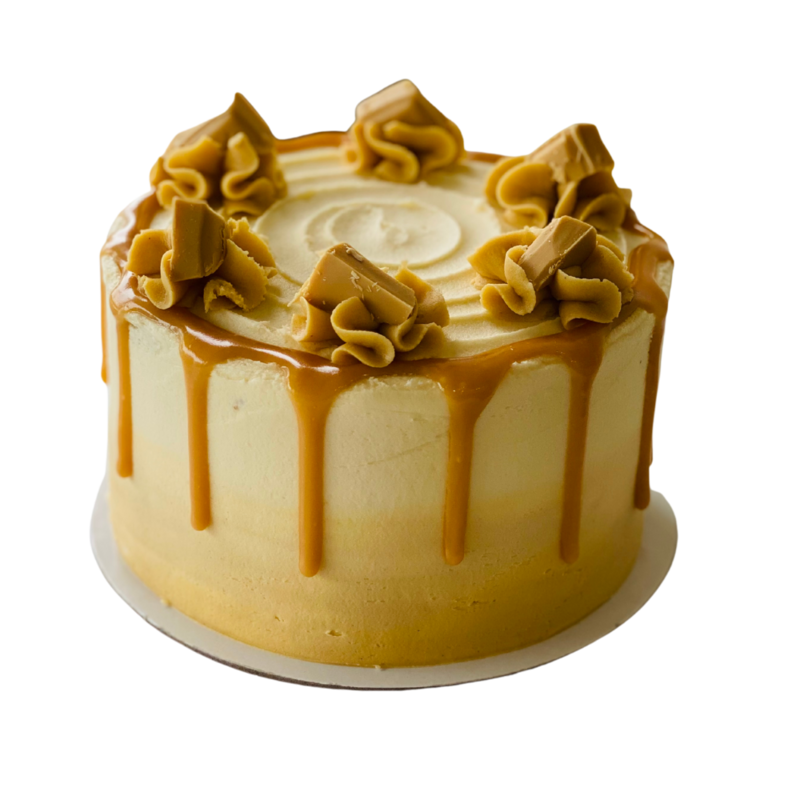 Caramilk Party Cake