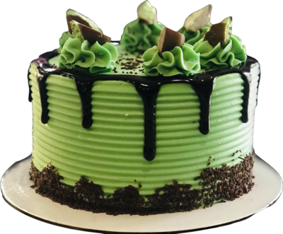 Minted Choc Party Cake