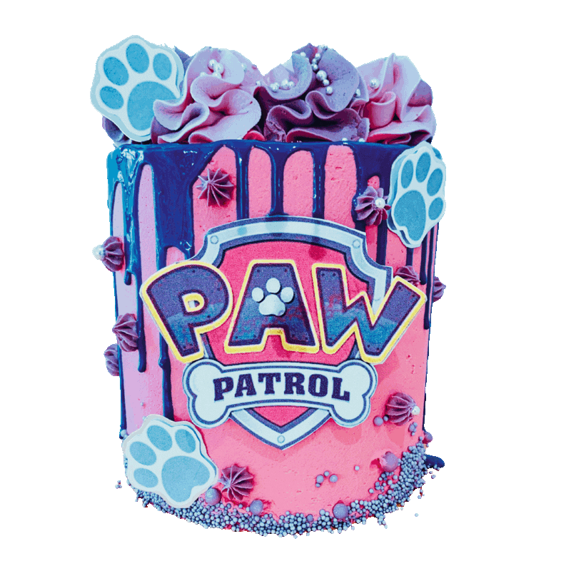 Paw Patrol Cake