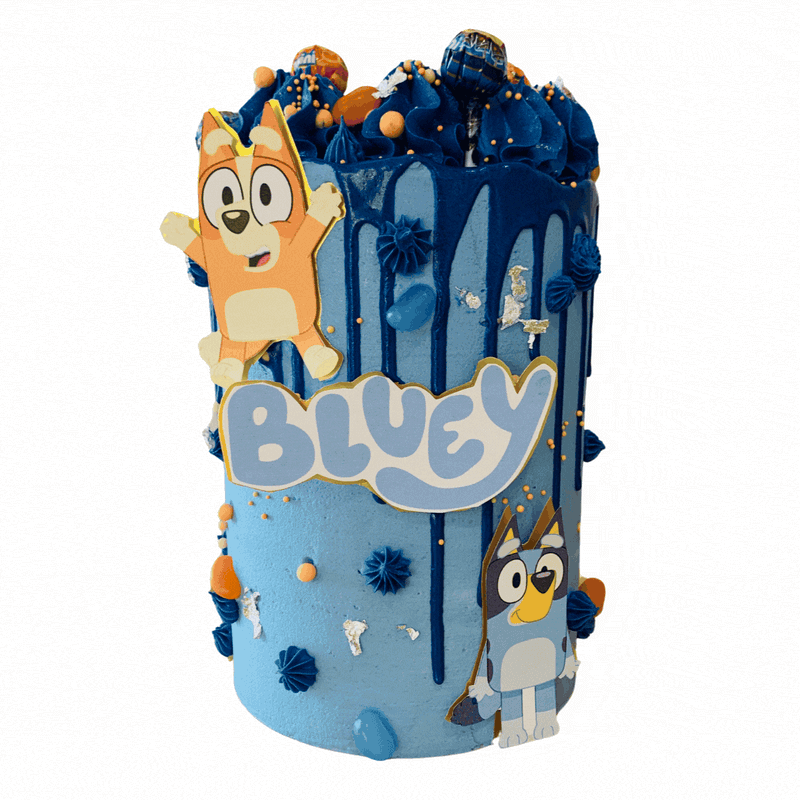 Bluey Cake