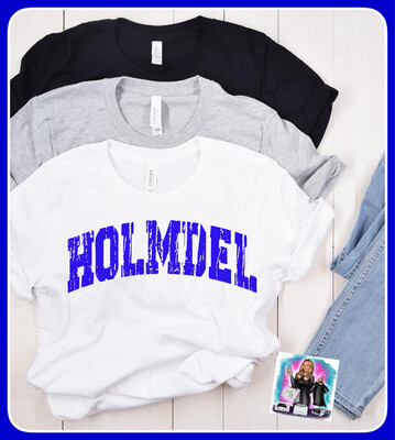 Holmdel Distressed Indian Hill T shirt