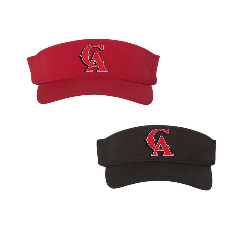 Cage Academy Visor