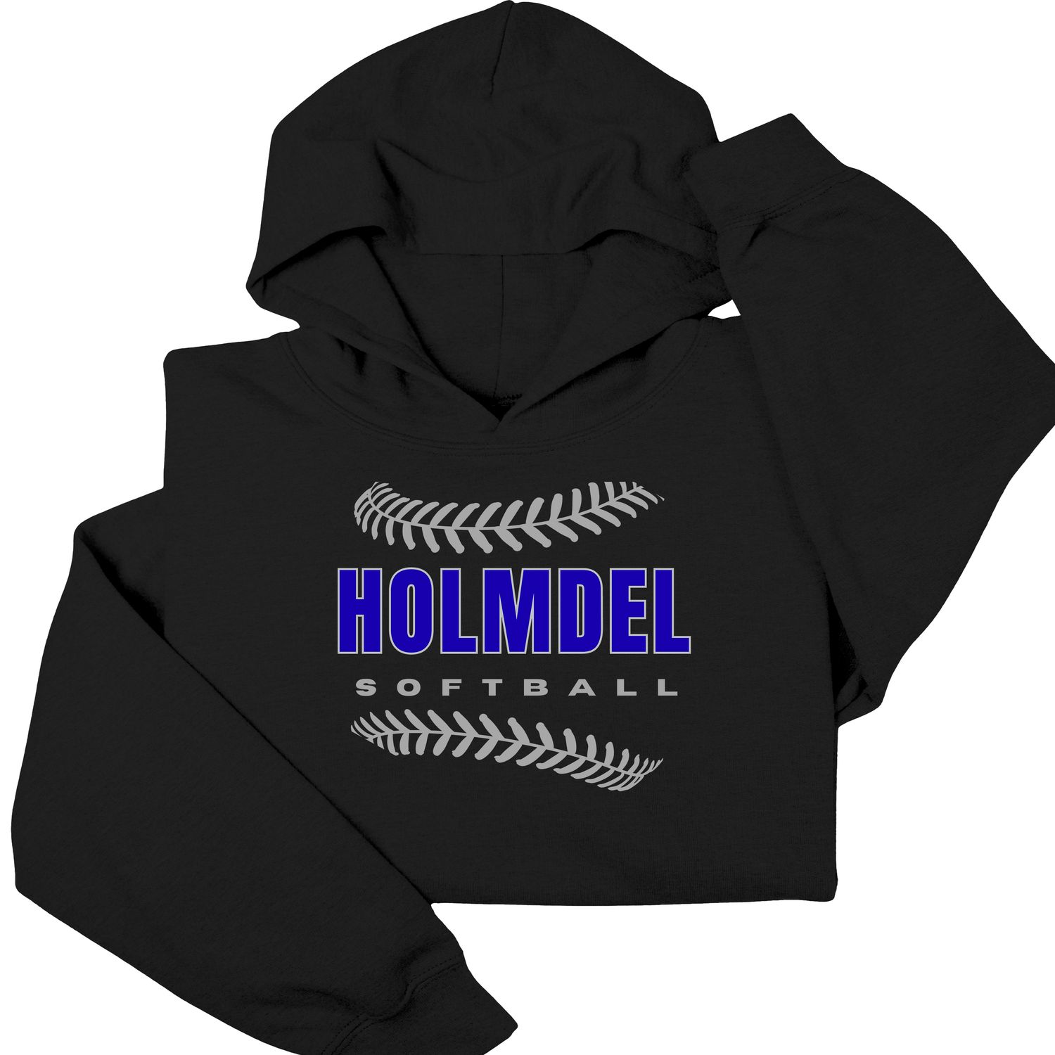 HHS SOFTBALL CHAMPION HOODIE