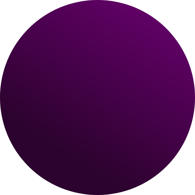Paula Ross - Painting Gel AUBERGINE