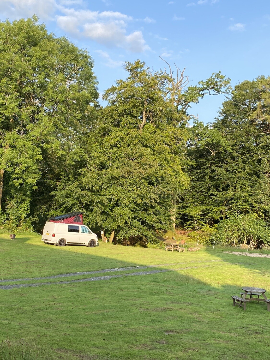 Grass Pitches with EHU (electric hookup) -