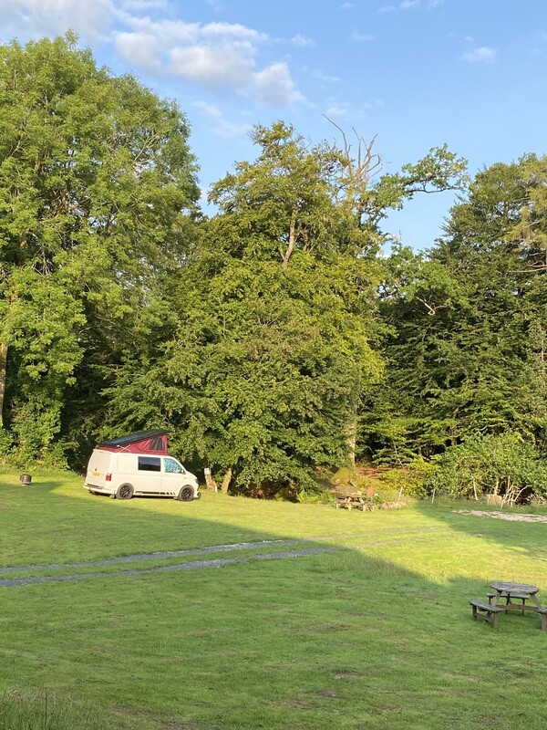 Grass Pitches with EHU (electric hookup) -