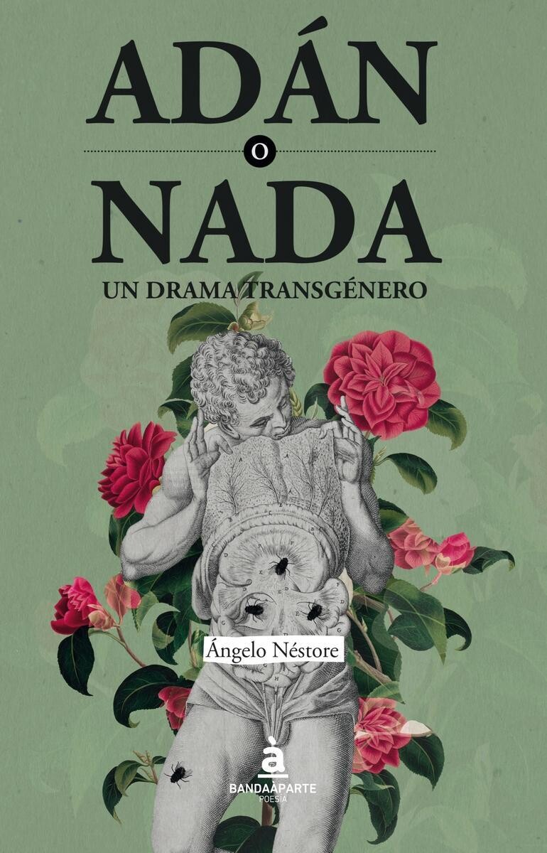 Adán o nada de Ángelo Nestore