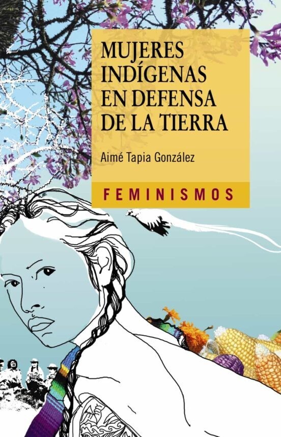 Mujeres indígenas en defensa de la tierra de Aimé Tapia González
