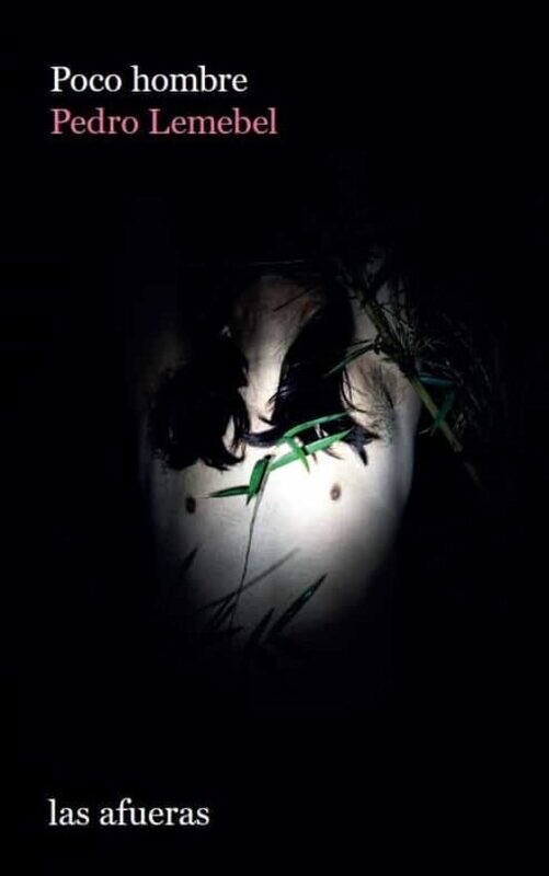 Poco hombre de Pedro Lemebel