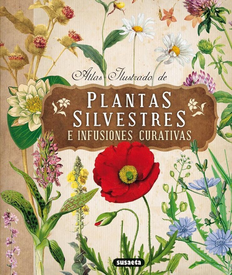 Plantas silvestres e infusiones curativas de Tomanová Eliska