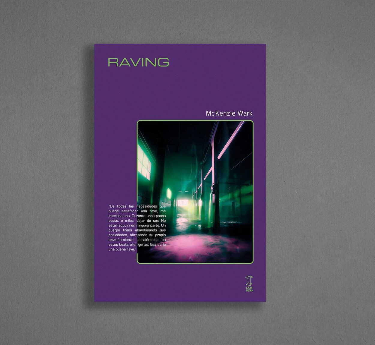Raving de McKenzie Wark