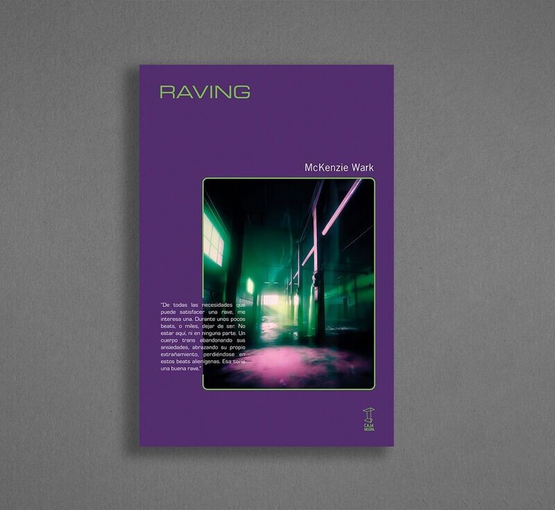 Raving de McKenzie Wark