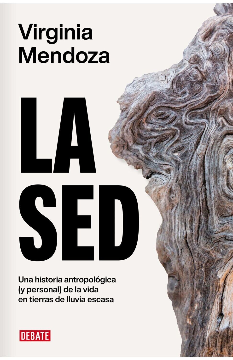 La sed de Virginia Mendoza