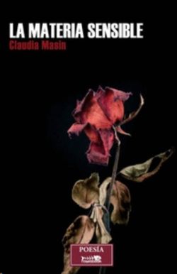 La materia sensible de Claudia Masin