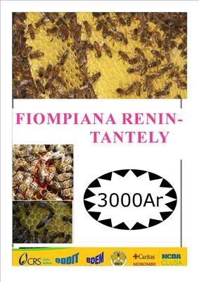 Fiompiana Renin-tantely