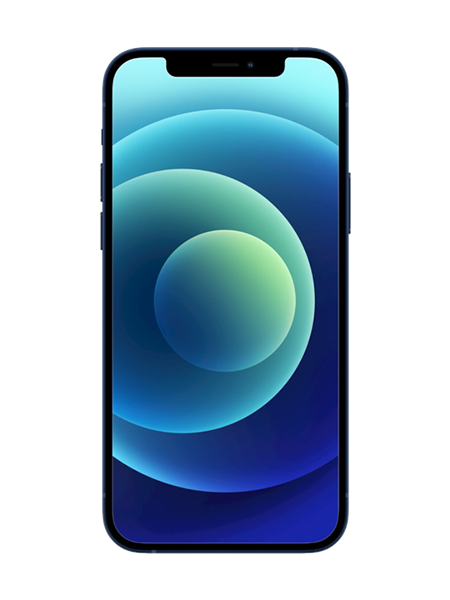 iPhone 12 Pro Max Reparatur