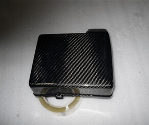 R33 Carbon Fusebox