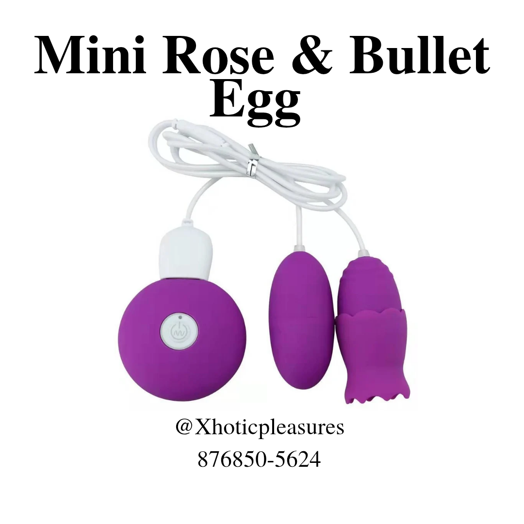 Mini Rose &amp; Bullet Egg