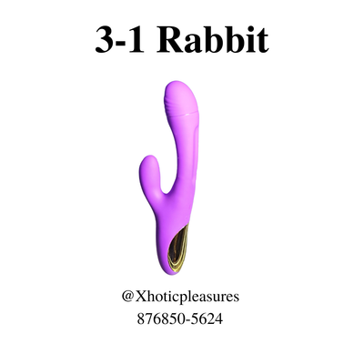 3-1 Rabbit