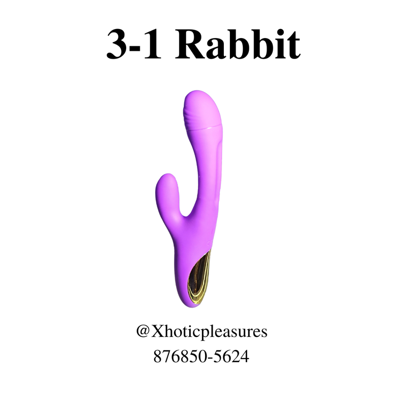 3-1 Rabbit