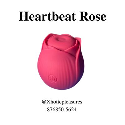 Heartbeat Rose