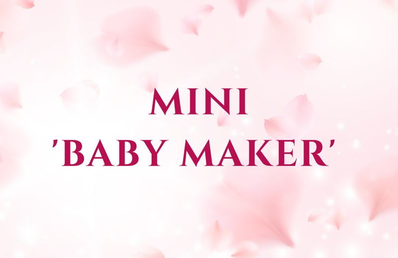 MINI "BABY MAKER" COMBO