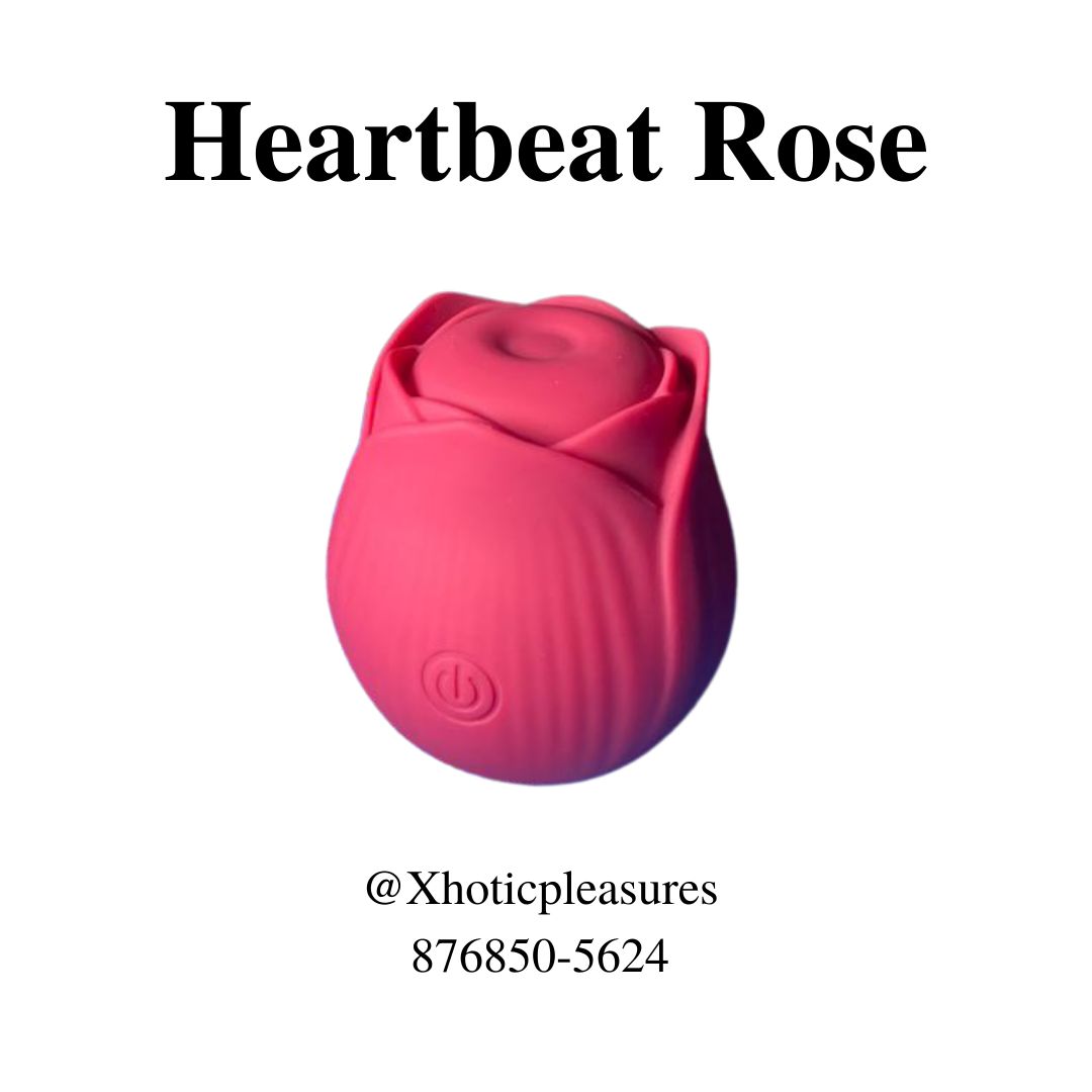 Heartbeat Rose