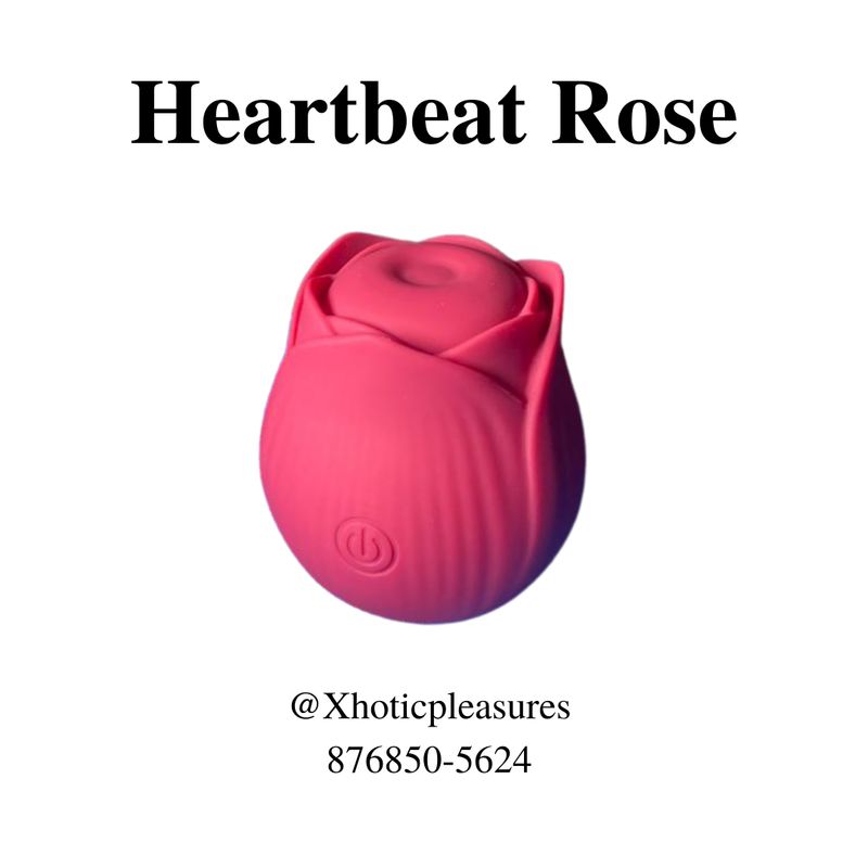 Heartbeat Rose