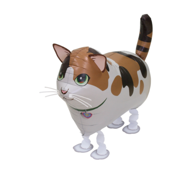 Cat Airwalker