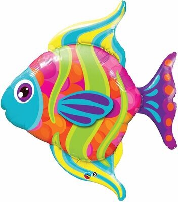 Rainbow Fish Supershape