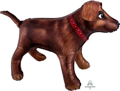 Dog Supershape