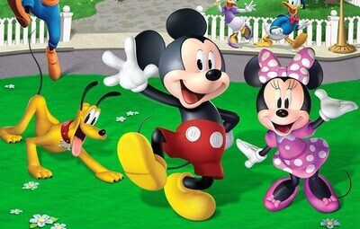 Minnie/Mickey Mouse