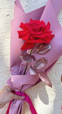Single Stem Rose