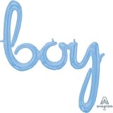 Boy script blue