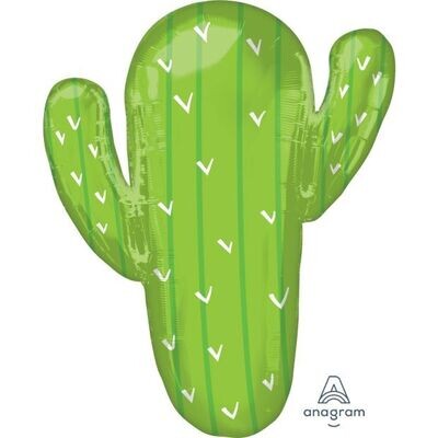 Cactus Supershape