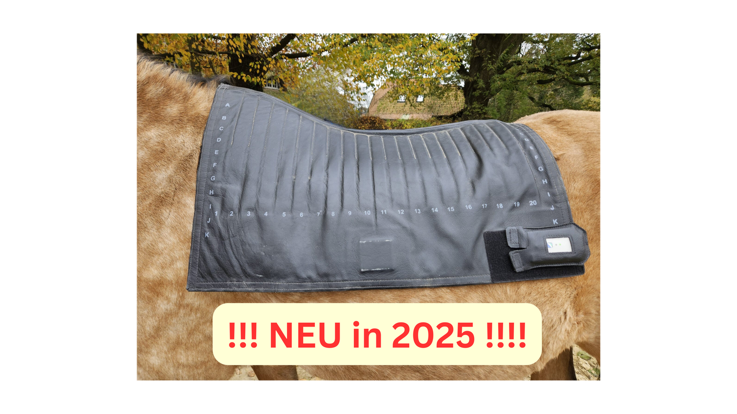 Termin für dynamische Druck- und Satteldruckmessung