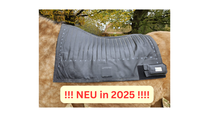 Termin für dynamische Druck- und Satteldruckmessung Termin für dynamische Druck- und Satteldruckmessung
