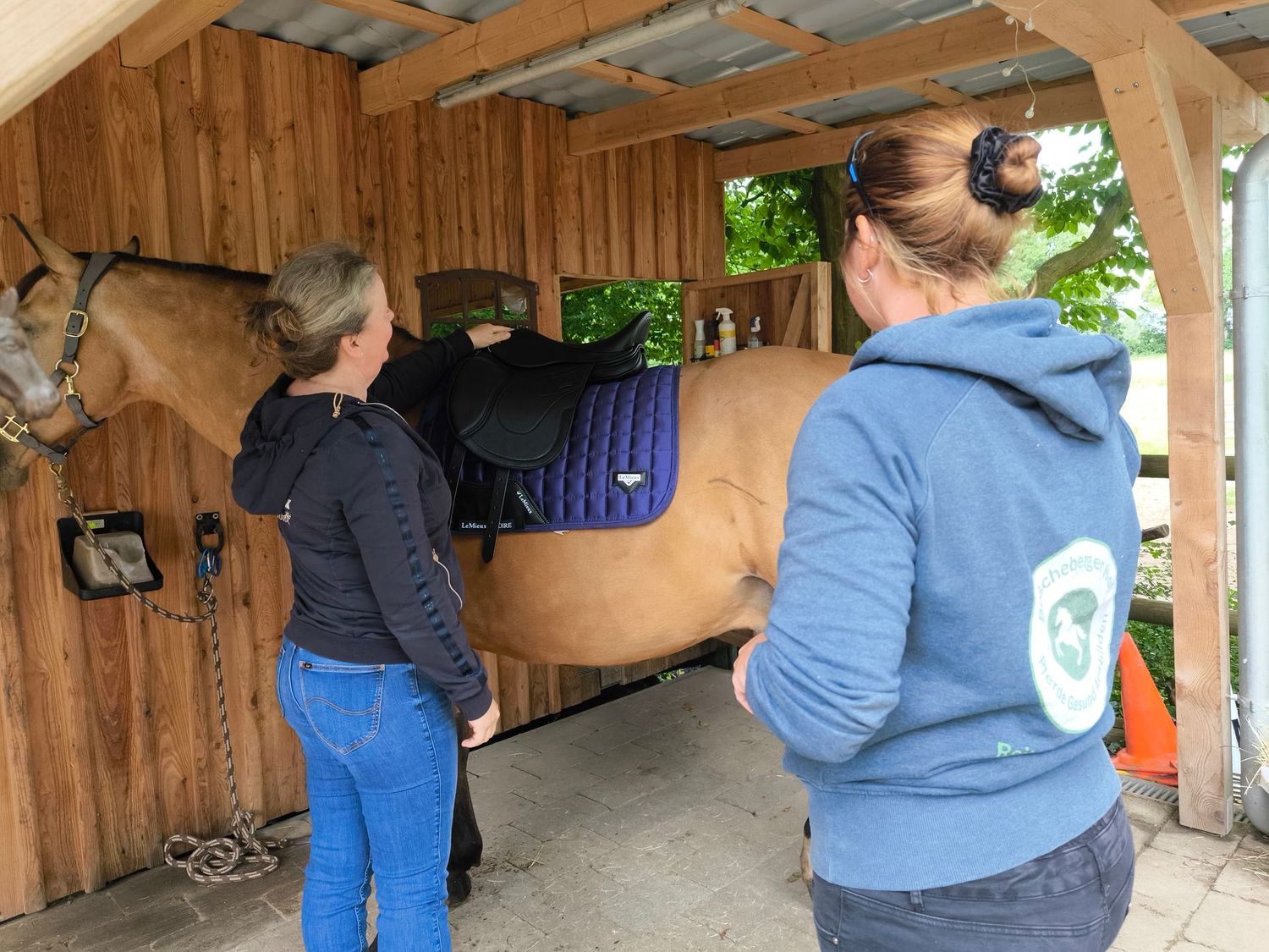 Im Gleichgewicht- Basics zu Sattelfitting& Physiologie- für Pferd und Mensch Im Gleichgewicht- Basics zu Sattelfitting& Physiologie- für Pferd und Mensch