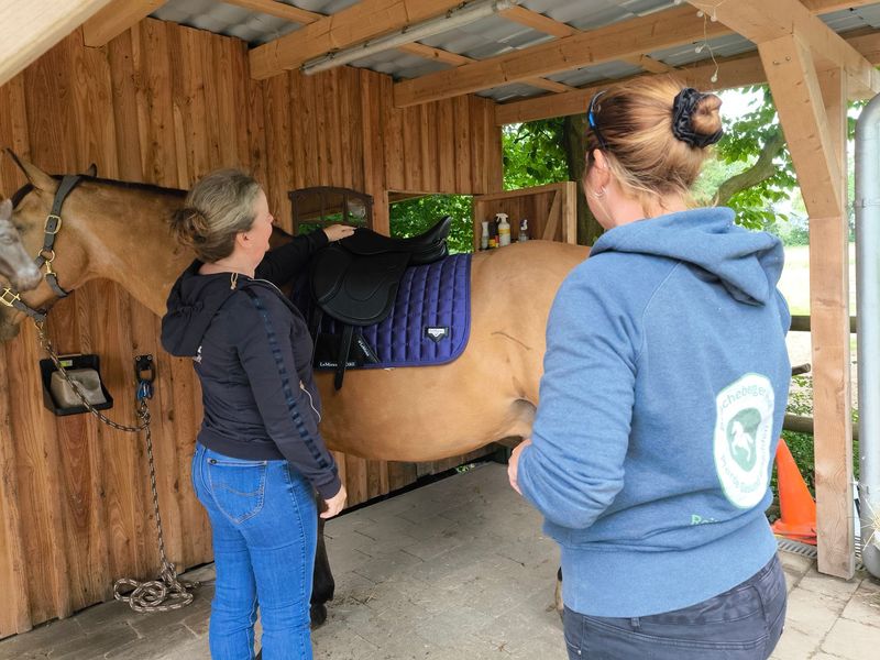 Im Gleichgewicht- Basics zu Sattelfitting& Physiologie- für Pferd und Mensch Im Gleichgewicht- Basics zu Sattelfitting& Physiologie- für Pferd und Mensch