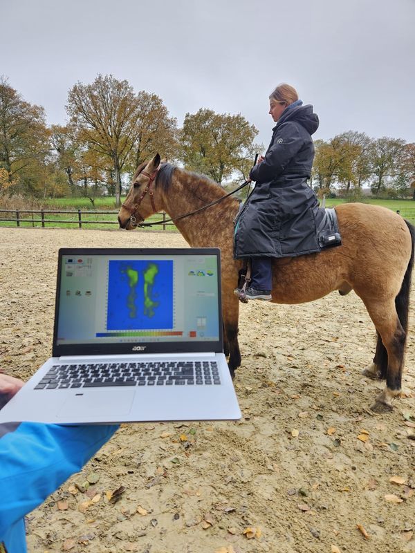 Dynamische Satteldruckmessung – digitales Messgerät, klare Ergebnisse, sofort sichtbar Dynamische Satteldruckmessung – digitales Messgerät, klare Ergebnisse, sofort sichtbar